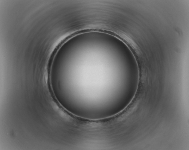X0000113530888200909181132