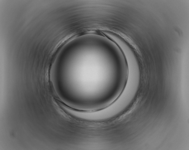 X0000113530889200909181132