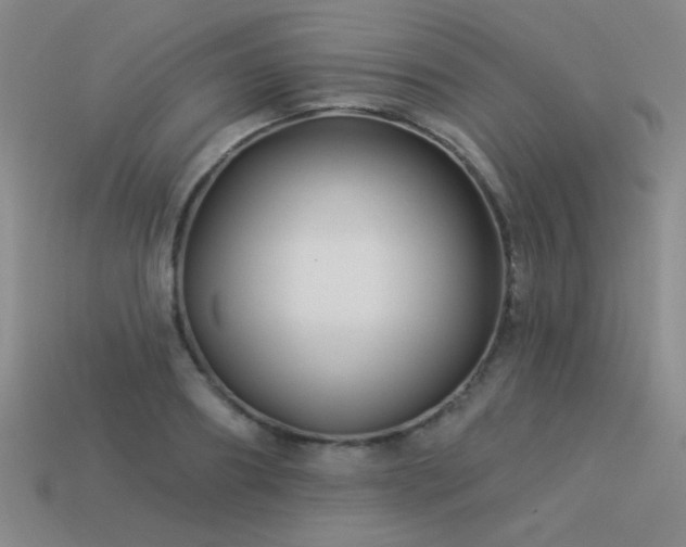X0000113530890200909181132