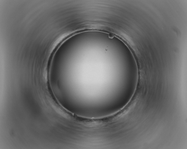 X0000113530891200909181132