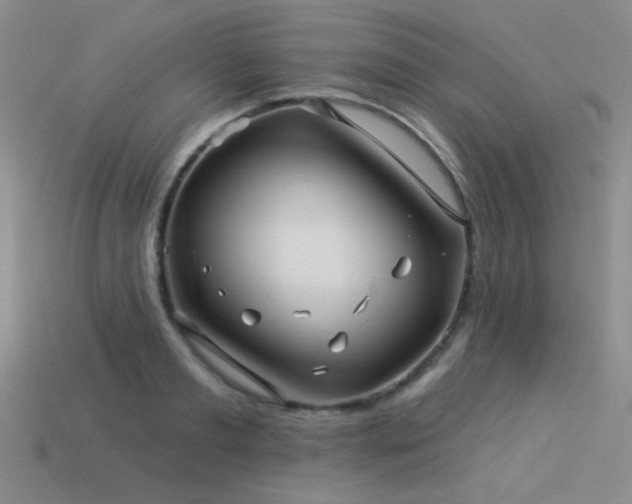 X0000113530893200909181132