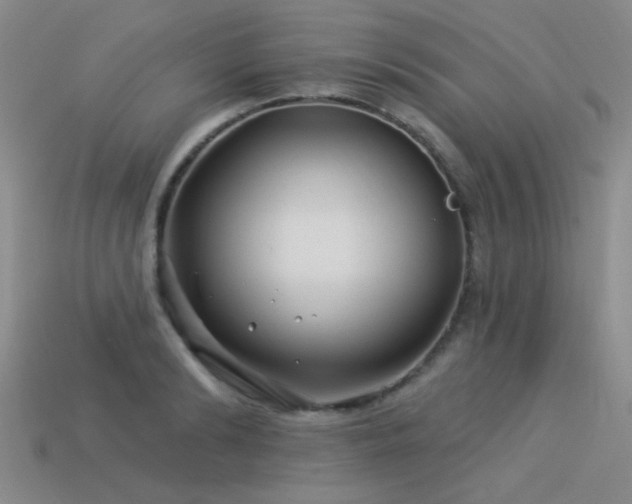 X0000113530894200909181132