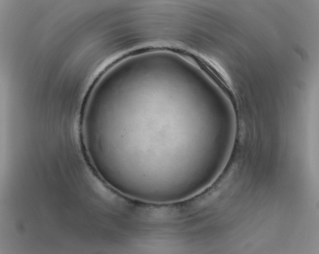 X0000113530895200909181132