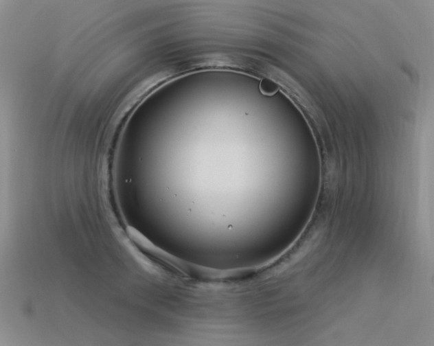 X0000113530898200909181132
