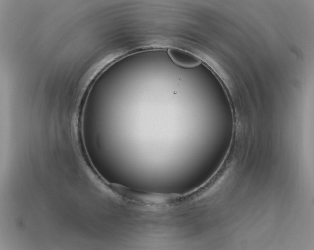 X0000113530901200909181132