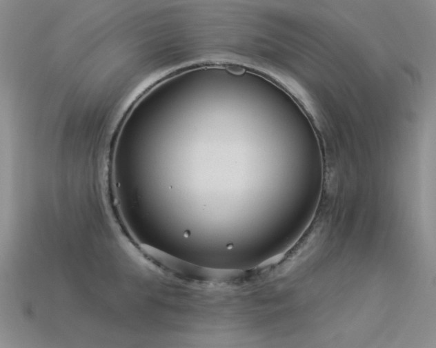 X0000113530903200909181132