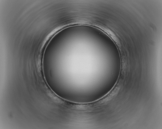 X0000113530904200909181132