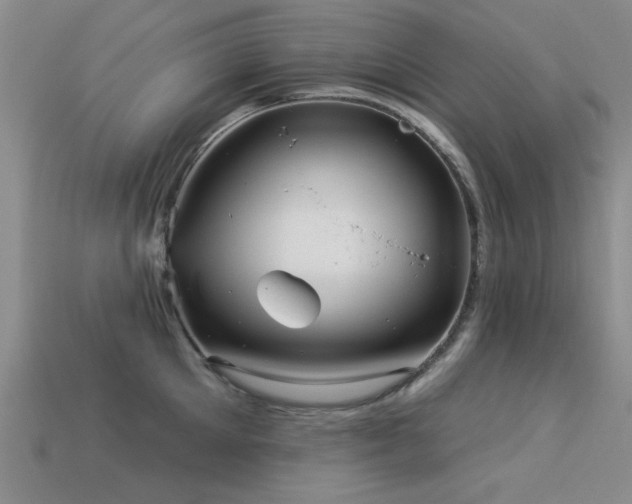 X0000113530905200909181132