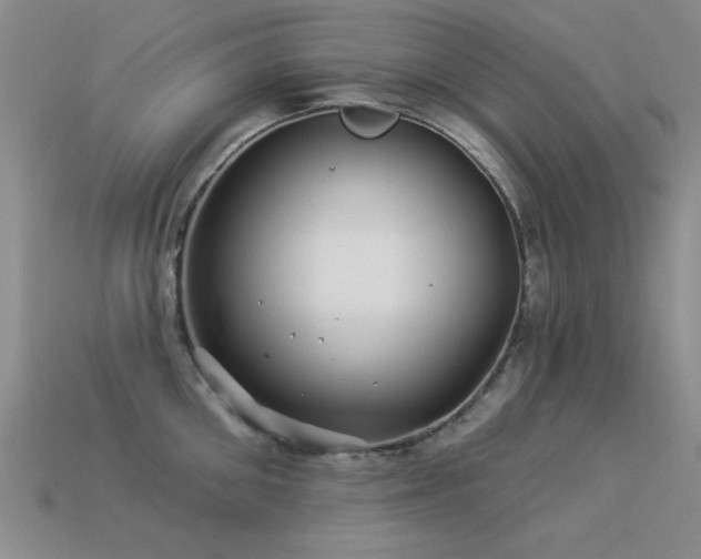 X0000113530906200909181132