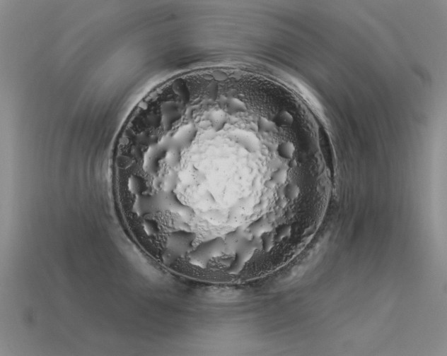 X0000113530907200909181132