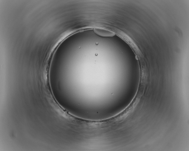 X0000113530908200909181132