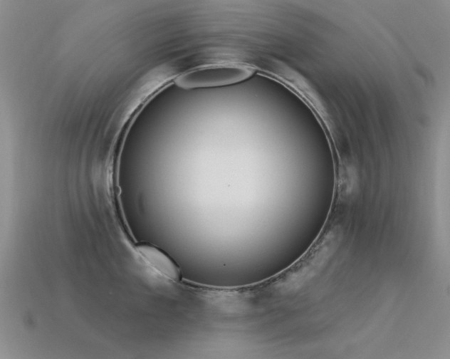 X0000113530909200909181132