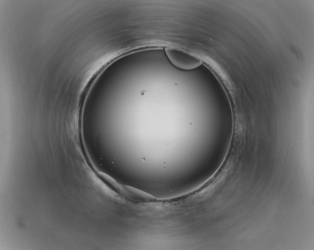 X0000113530910200909181132
