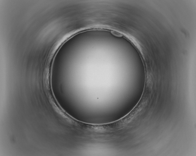 X0000113530911200909181132