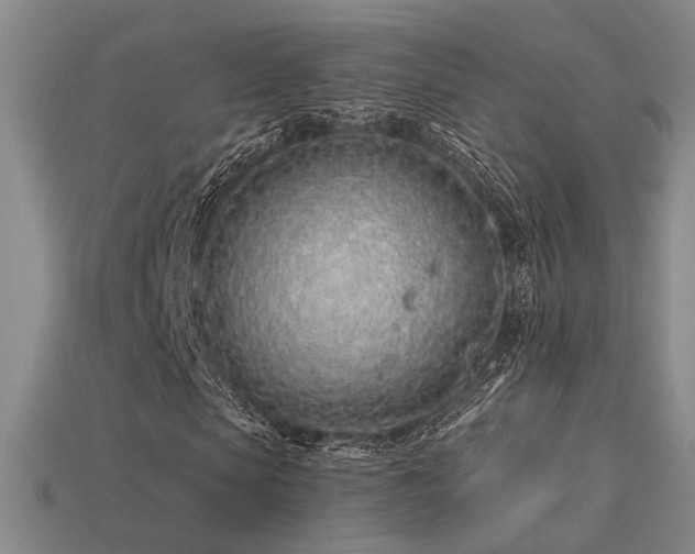 X0000113530913200909181132