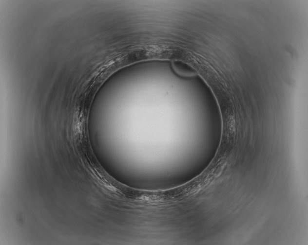 X0000113530914200909181132