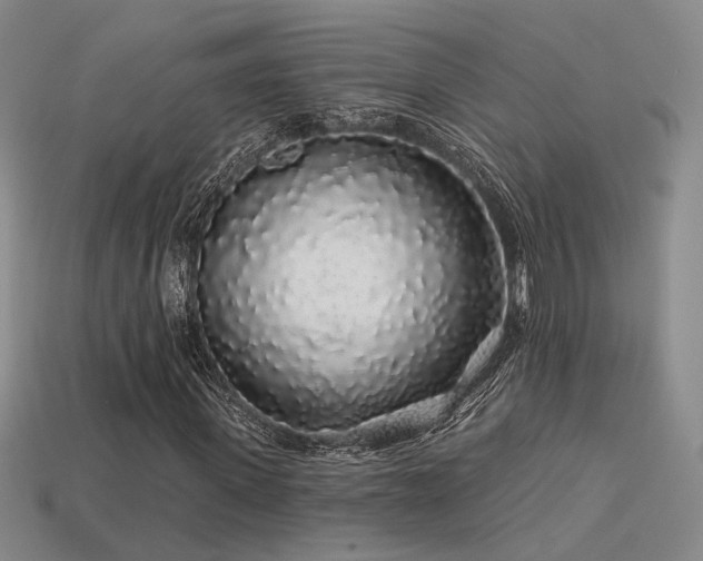 X0000113530915200909181132