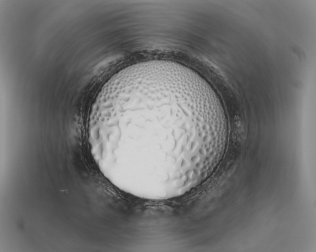 X0000113530918200909181132