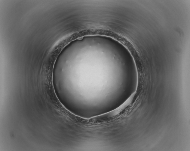 X0000113530919200909181132