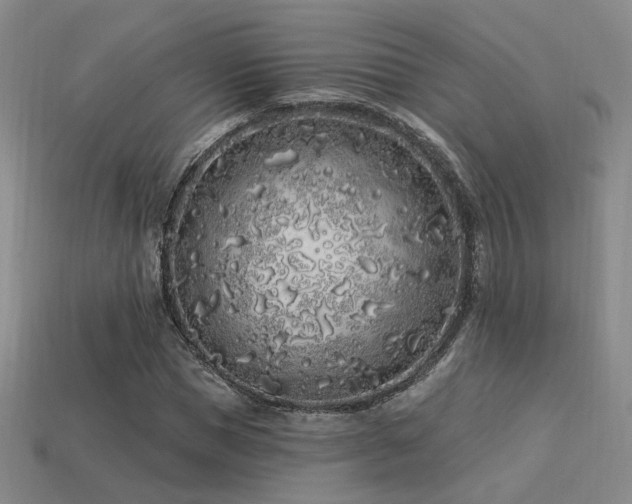 X0000113530921200909181132