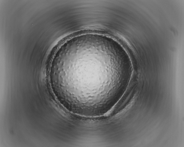 X0000113530923200909181132