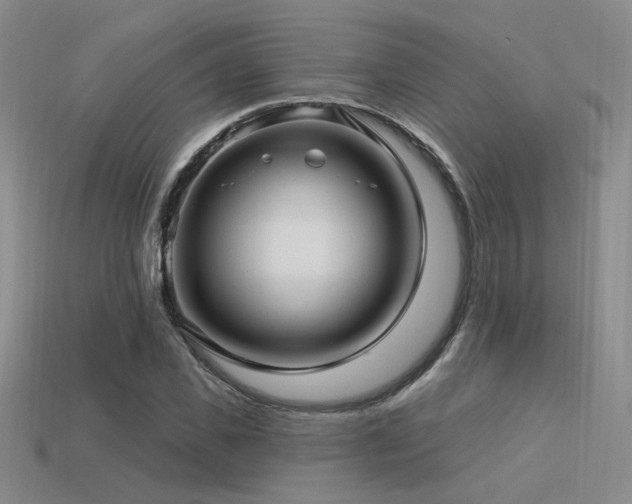X0000113530925200909181132