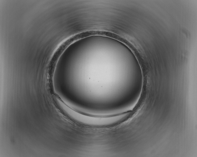 X0000113530926200909181132