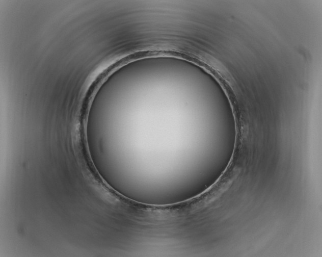 X0000113530928200909181132