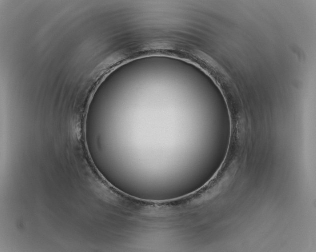 X0000113530929200909181132