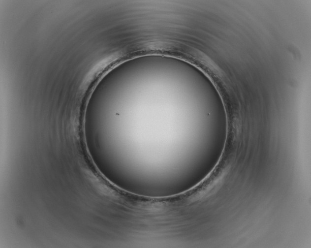 X0000113530930200909181132
