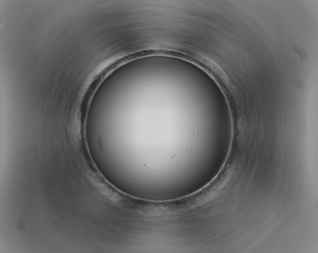X0000113530931200909181132