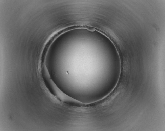 X0000113530932200909181132