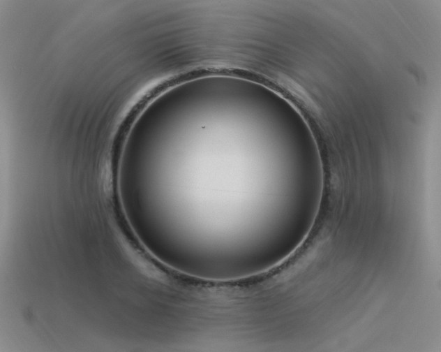 X0000113530934200909181132