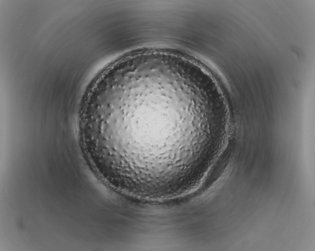 X0000113530935200909181132