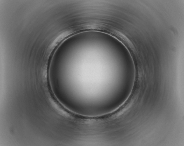 X0000113530938200909181132