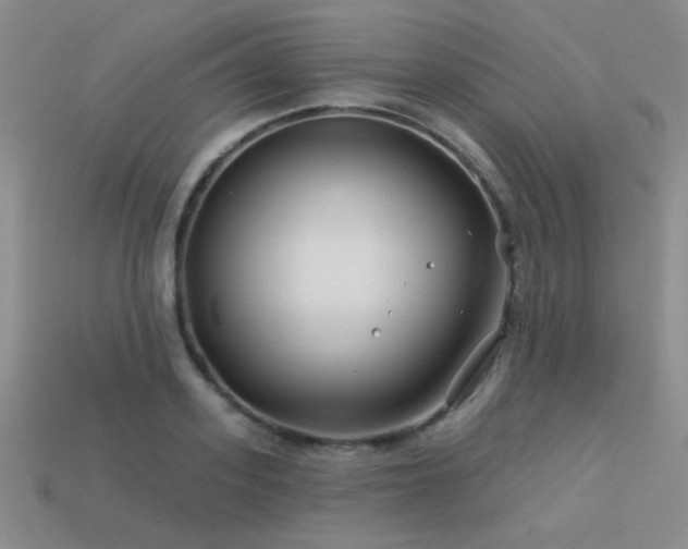 X0000113530939200909181132