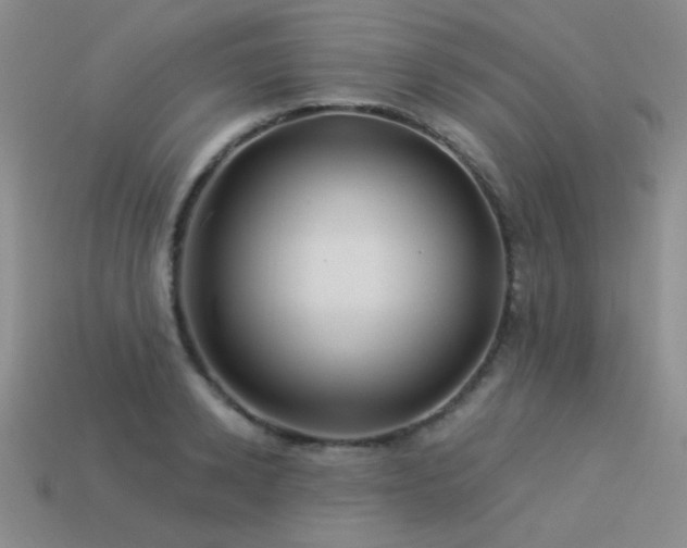 X0000113530942200909181132