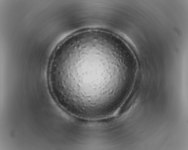 X0000113530943200909181132