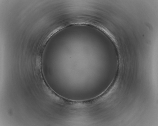 X0000113530945200909181132