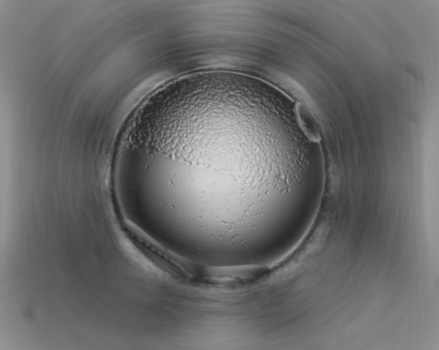X0000113530946200909181132