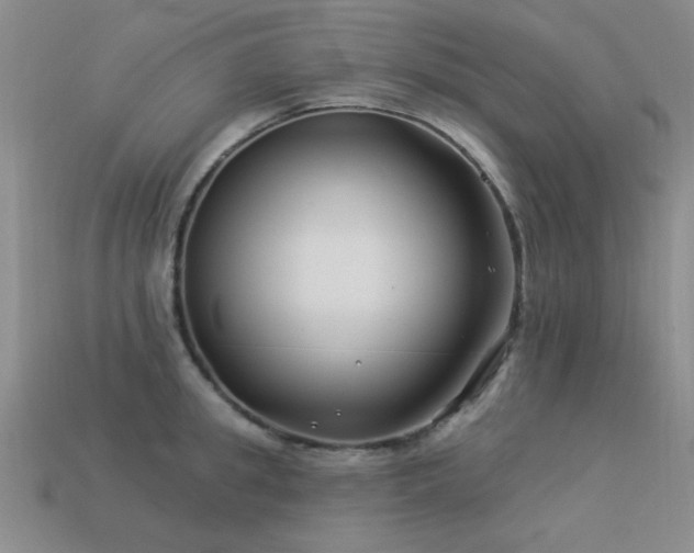 X0000113530949200909181132