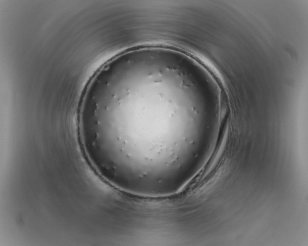 X0000113530951200909181132