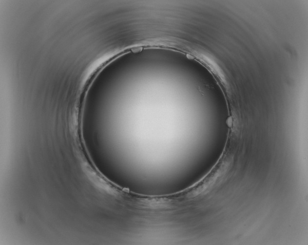 X0000113530952200909181132