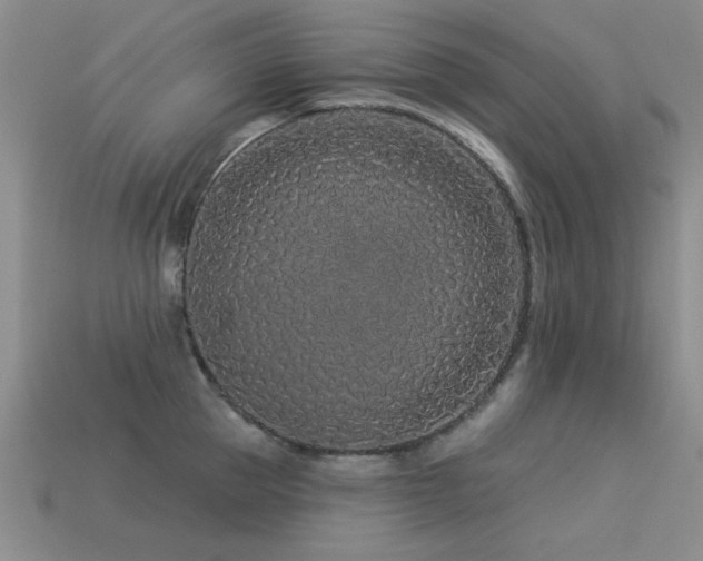 X0000113530953200909181132