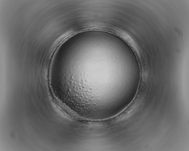X0000113530954200909181132