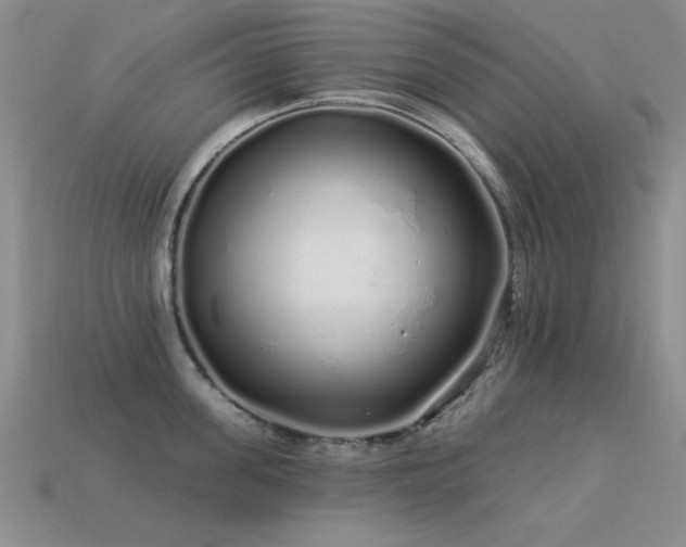 X0000113530955200909181132