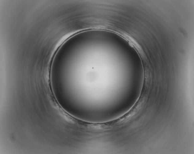 X0000113530956200909181132