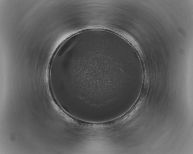 X0000113530958200909181132