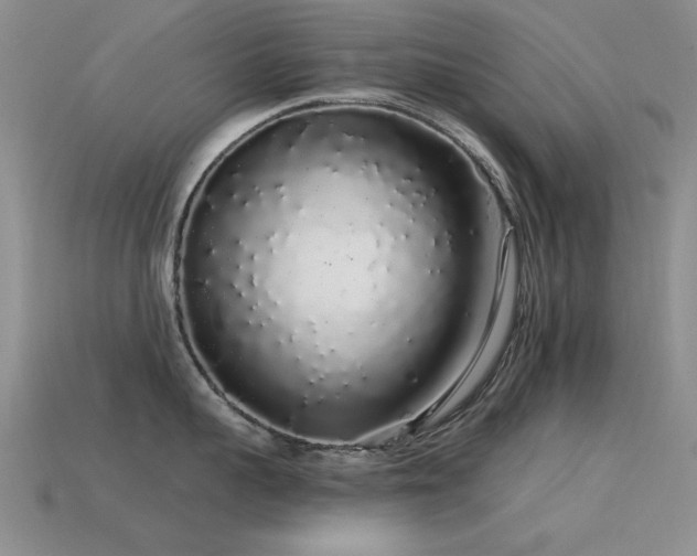X0000113530959200909181132
