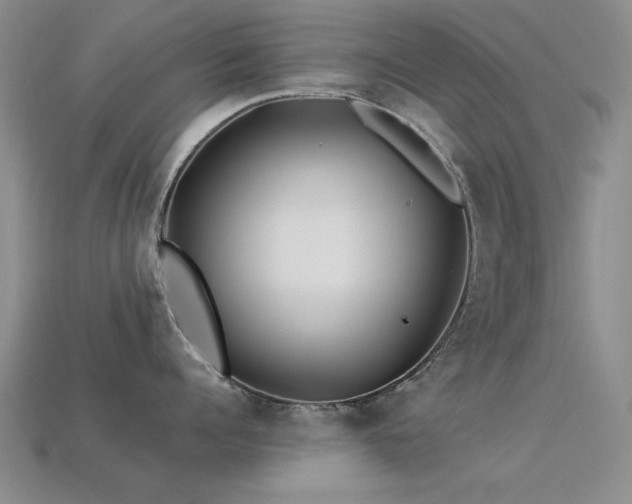 X0000113530960200909181132